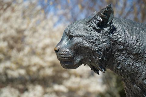 Photo of UNH Wildcat Statue