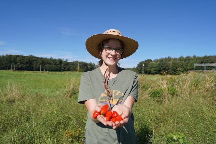 Student holding peppers in a field
